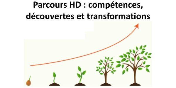 Parcours HD : compétences, découvertes et transformations